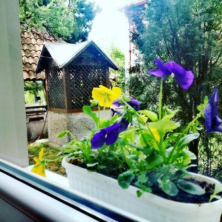 Maslina Rooms Σμεντέρεβο Εξωτερικό φωτογραφία
